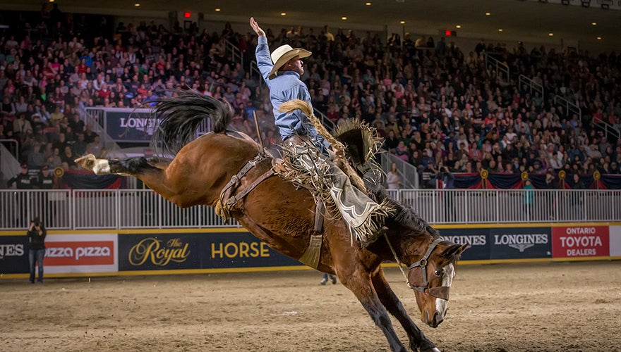 Ontario Toyota Dealers Rodeo